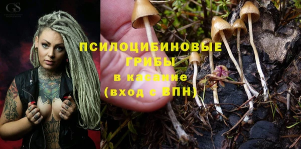 эйфоретик Баксан