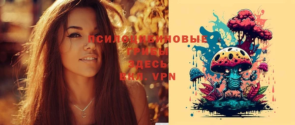 эйфоретик Балахна